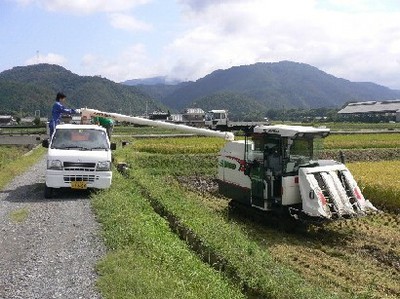 穀粒の排出作業